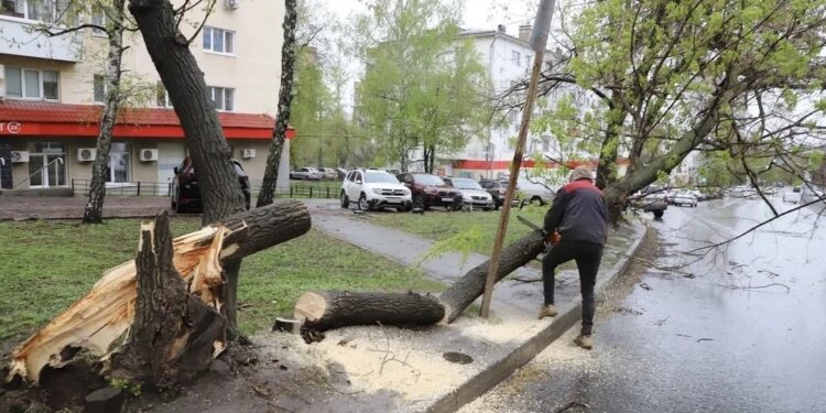 В Самаре ликвидируют последствия урагана