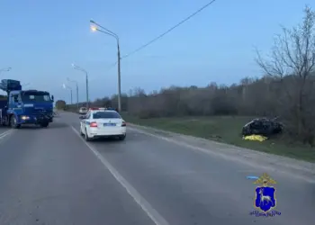 Фото: ГУ МВД РФ по Самарской области