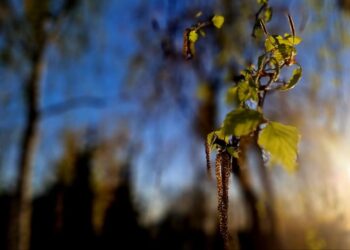 Афиша выходного дня: куда сходить в Самаре с 24 по 26 апреля