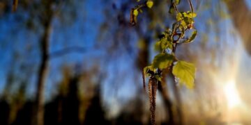 Афиша выходного дня: куда сходить в Самаре с 24 по 26 апреля