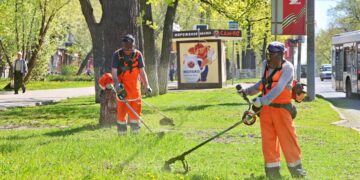 Иван Носков: восстановление газонов включили в дорожные контракты в Самаре