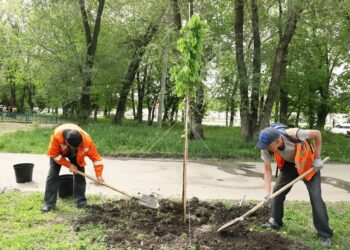 Фото: администрация г.о. Самара