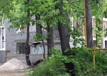 Деприватизация сотен участков в самарских лесах не заметила попыток ее остановить