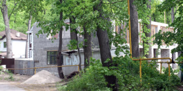 Деприватизация сотен участков в самарских лесах не заметила попыток ее остановить