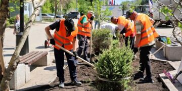 Более 30 тысяч растений: в Самаре обновили дизайн клумб на улице Ленинградской