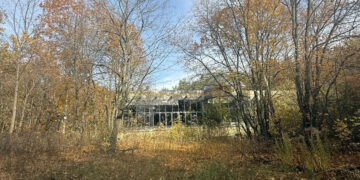 Миллиардер Шаповалов остался и без усадьбы, и без земли в самарском лесопарке «Дубки»