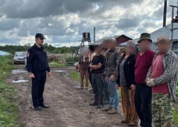 В Самарской области полиция досмотрела крупный тепличный комплекс