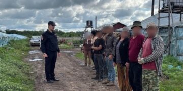 В Самарской области полиция досмотрела крупный тепличный комплекс