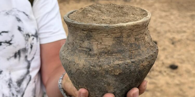 В курганах «Преображенки» в Самарской области обнаружили захоронения, сделанные более 3,5 тысяч лет назад