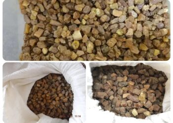 В Самарской области в собственность государства обращено более 900 килограммов янтаря