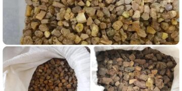 В Самарской области в собственность государства обращено более 900 килограммов янтаря