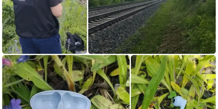 В Самарской области под колесами поезда погиб мужчина