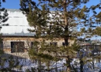 76-летний житель Самарской области расчленил знакомого и выкинул останки в выгребную яму