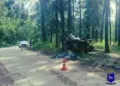 В Самарской области два человека погибли при столкновении квадроцикла с деревом