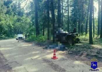 В Самарской области два человека погибли при столкновении квадроцикла с деревом