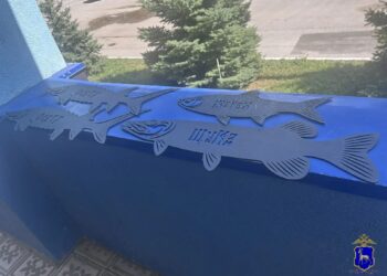 Двое сызранцев украли с пляжа декоративных металлических рыб