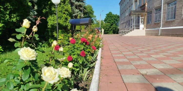 На территории самарского интерната разбили сад