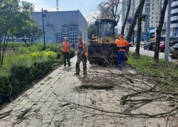 В Самаре устранили последствия сильного ливня и ураганного ветра