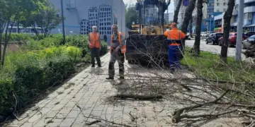 В Самаре устранили последствия сильного ливня и ураганного ветра