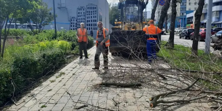 Фото: пресс-служба администрации г.о. Самара