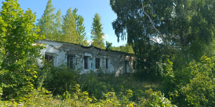 Бывший глава пригородов Тольятти вложит миллиарды в обновление Жигулевска