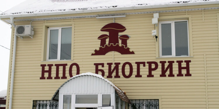 Борьба за контроль над самарским грибным комплексом «БиоГрин» заканчивается миром
