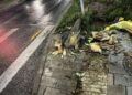 В Самаре на школьницу упало дерево, девочку доставили в больницу