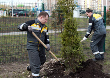 В Самарской области прошли мероприятия в честь 90-летия промышленной добычи нефти