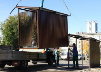 По поручению Ивана Носкова в Самаре усилят вывоз веток и листвы