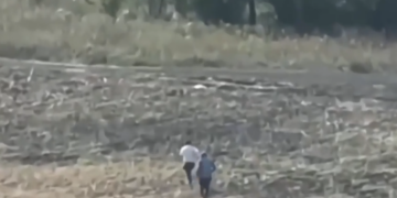 В Самарской области полиция при помощи беспилотника ловила нелегалов в теплицах